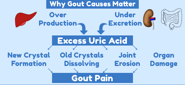 Gout how it develop